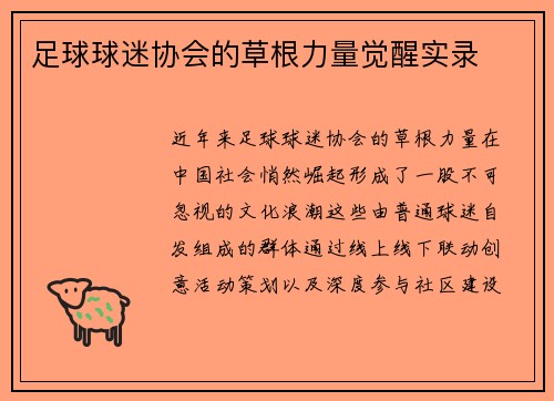足球球迷协会的草根力量觉醒实录
